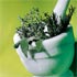alternative medicine articles