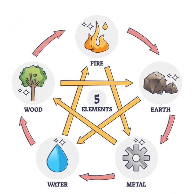 The Elements of Traditional Chinese Medicine